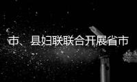 市、縣婦聯(lián)聯(lián)合開展省市婦女創(chuàng)業(yè)項(xiàng)目中期督查