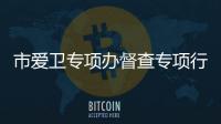 市愛衛專項辦督查專項行動整改情況