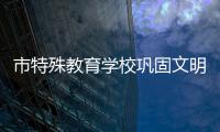 市特殊教育學校鞏固文明校園創建成果