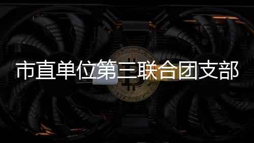 市直單位第三聯合團支部開展五四系列活動