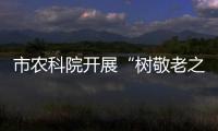 市農(nóng)科院開(kāi)展“樹(shù)敬老之風(fēng) 促社會(huì)文明”重陽(yáng)節(jié)活動(dòng)_