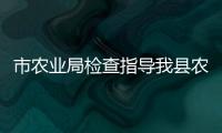 市農業局檢查指導我縣農業雙夏工作