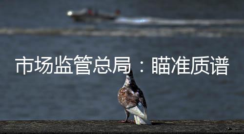 市場監管總局：瞄準質譜等領域建立國家標準參考數據中心