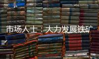 市場人士：大力發展鐵礦石等衍生品市場