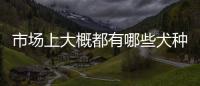 市場上大概都有哪些犬種？價格分別是多少？ 哥頓雪達犬市場價格