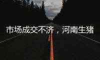 市場成交不濟，河南生豬價格承壓回落