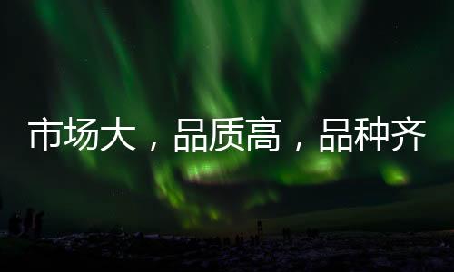 市場大，品質高，品種齊全！口水娃元氣零食每款產品都能讓您賺大錢！