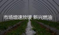 市場(chǎng)增速放緩 新興燃油車企業(yè)前景堪憂