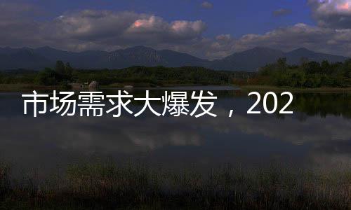 市場需求大爆發，2021可長線操作的三大利潤爆品！