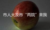 市人大及市“兩院”來我區征求工作報告意見