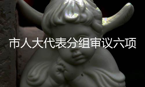 市人大代表分組審議六項報告決議（草案）_