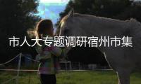 市人大專題調研宿州市集團化辦學工作情況