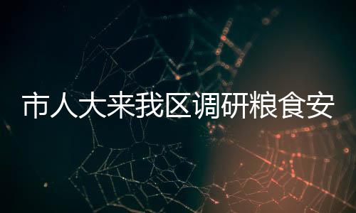 市人大來我區調研糧食安全及民生實事項目