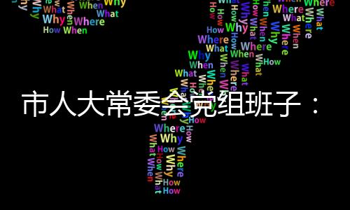 市人大常委會黨組班子：從嚴從實抓好整改落實