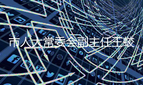 市人大常委會副主任王蛟虎來我區調研