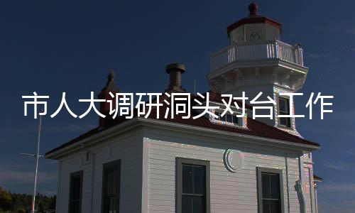 市人大調(diào)研洞頭對(duì)臺(tái)工作