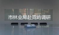 市林業局赴霓嶼調研