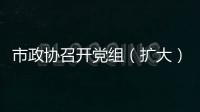 市政協召開黨組（擴大）會議_