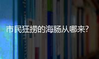 市民狂撈的海腸從哪來?煙臺回應來了！到底是什么情況？