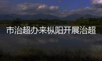 市治超辦來樅陽開展治超督查工作