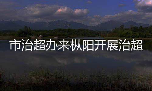 市治超辦來樅陽開展治超督查工作