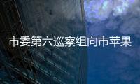 市委第六巡察組向市蘋果產(chǎn)業(yè)發(fā)展中心反饋巡察情況