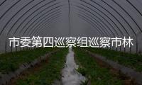市委第四巡察組巡察市林業局