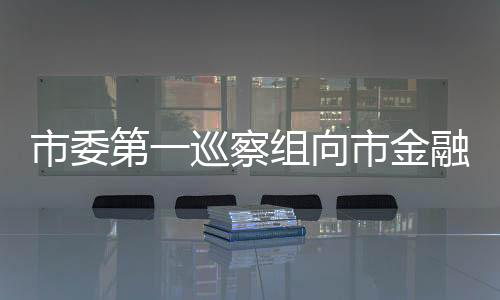 市委第一巡察組向市金融辦黨組反饋巡察情況