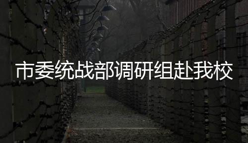 市委統戰部調研組赴我校開展黨外人士調研