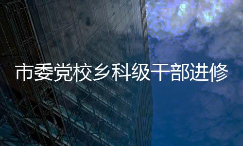 市委黨校鄉科級干部進修班開展專題研討_