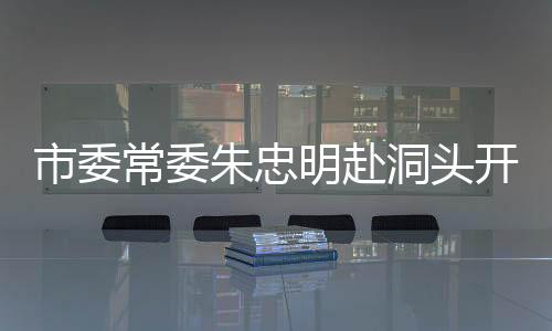 市委常委朱忠明赴洞頭開展調研