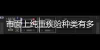 市面上純重疾險種類有多少種