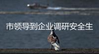 市領導到企業調研安全生產工作