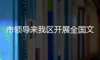 市領導來我區開展全國文明城市創建百日攻堅專項行動督查