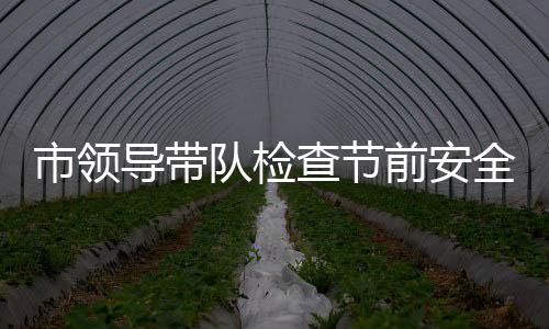 市領導帶隊檢查節前安全生產工作