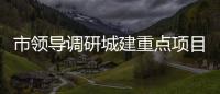 市領導調研城建重點項目