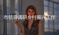 市領(lǐng)導(dǎo)調(diào)研鄉(xiāng)村振興工作