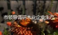 市領(lǐng)導(dǎo)調(diào)研木業(yè)企業(yè)生產(chǎn)經(jīng)營(yíng)及科技需求情況