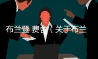 布蘭登 費舍（關于布蘭登 費舍的基本情況說明介紹）