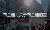 布蘭迪（關(guān)于布蘭迪的基本情況說明介紹）