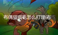 布偶貓貓毛怎么打理(布偶毛量怎么增加)