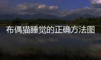 布偶貓睡覺的正確方法圖片  布偶貓睡多長時間