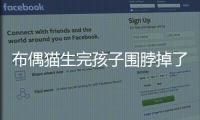 布偶貓生完孩子圍脖掉了怎么辦？布偶貓生完孩子圍脖掉了正常嗎