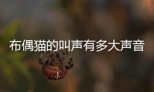布偶貓的叫聲有多大聲音