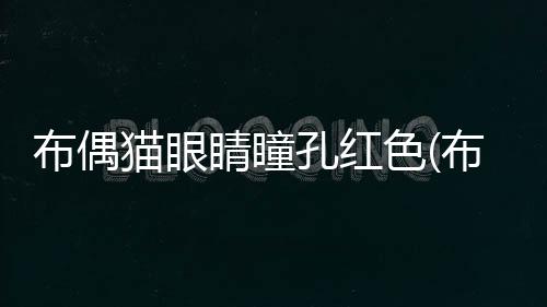 布偶貓眼睛瞳孔紅色(布偶貓瞳孔紅色正常嗎?)