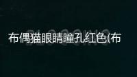 布偶貓眼睛瞳孔紅色(布偶貓瞳孔紅色正常嗎?)