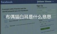 布偶貓白耳是什么意思