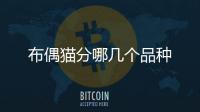 布偶貓分哪幾個品種