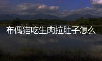 布偶貓吃生肉拉肚子怎么辦？布偶吃生骨肉拉稀