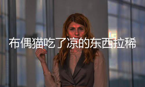 布偶貓吃了涼的東西拉稀怎么辦啊(布偶貓吃壞肚子了怎么辦)